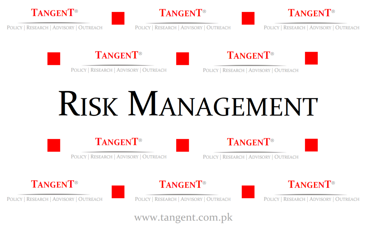 Providing A Company Risk Management Services