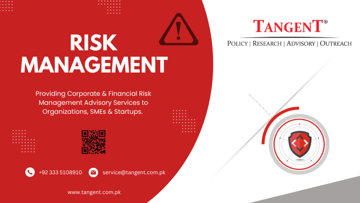 Providing Risk Management Advisory Service to SME